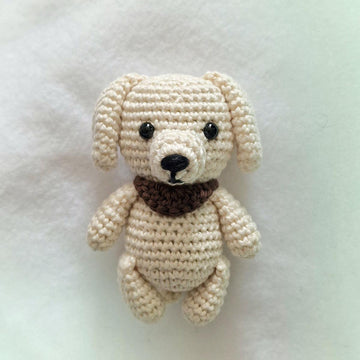 Labrador Retriever Dog