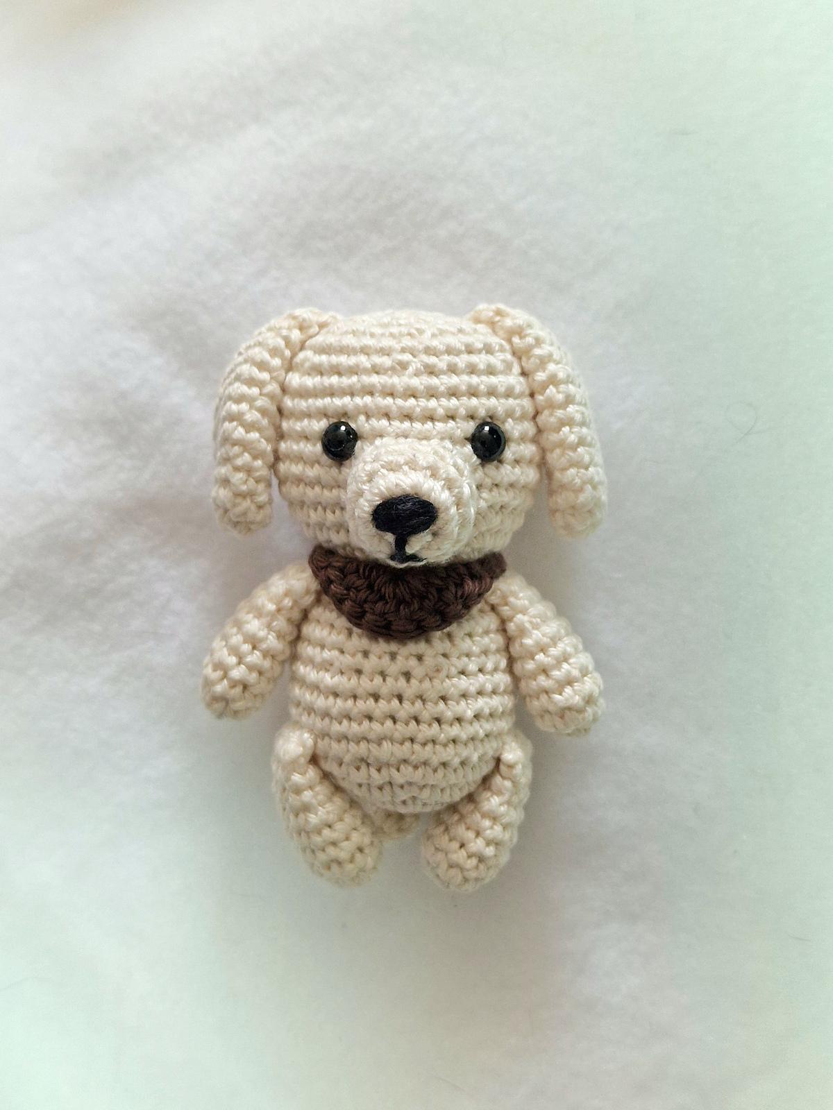 Labrador Retriever Dog