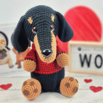 Dachshund