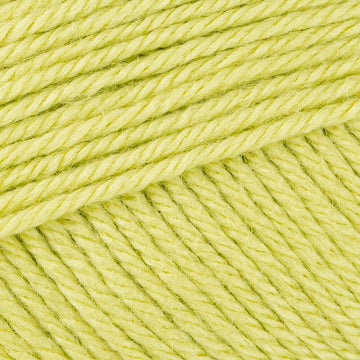 Spring Leaf (24)