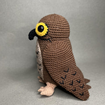 Potoo Bird