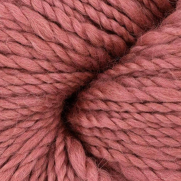Rose (7)