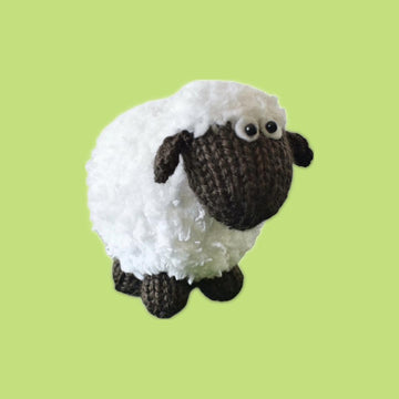Baa Bara the Sheep