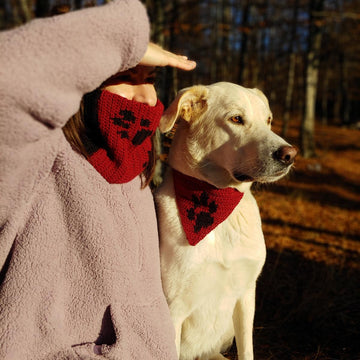 Matching cowl and dog bandana