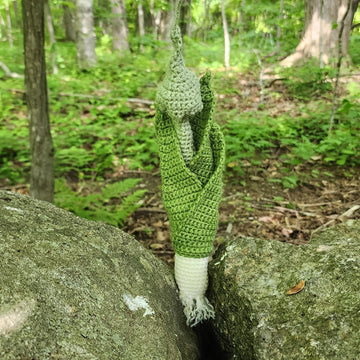 Leek with flower pod