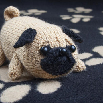 Jolly the Pug