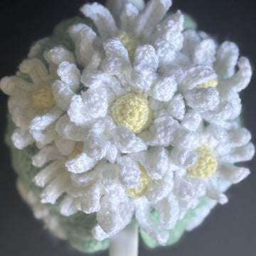 Daisy Granny square Tea Cosy