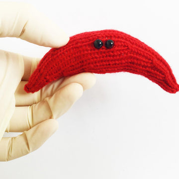 Sickle Red Blood Cell