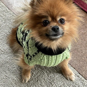 Snowy pup Sweater