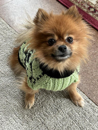 Snowy pup Sweater