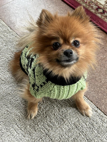 Snowy pup Sweater