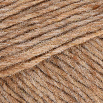 Barley (1419)