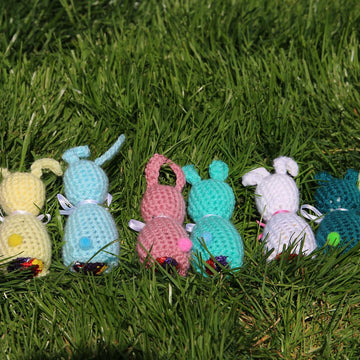 Chocolate Egg Bunny