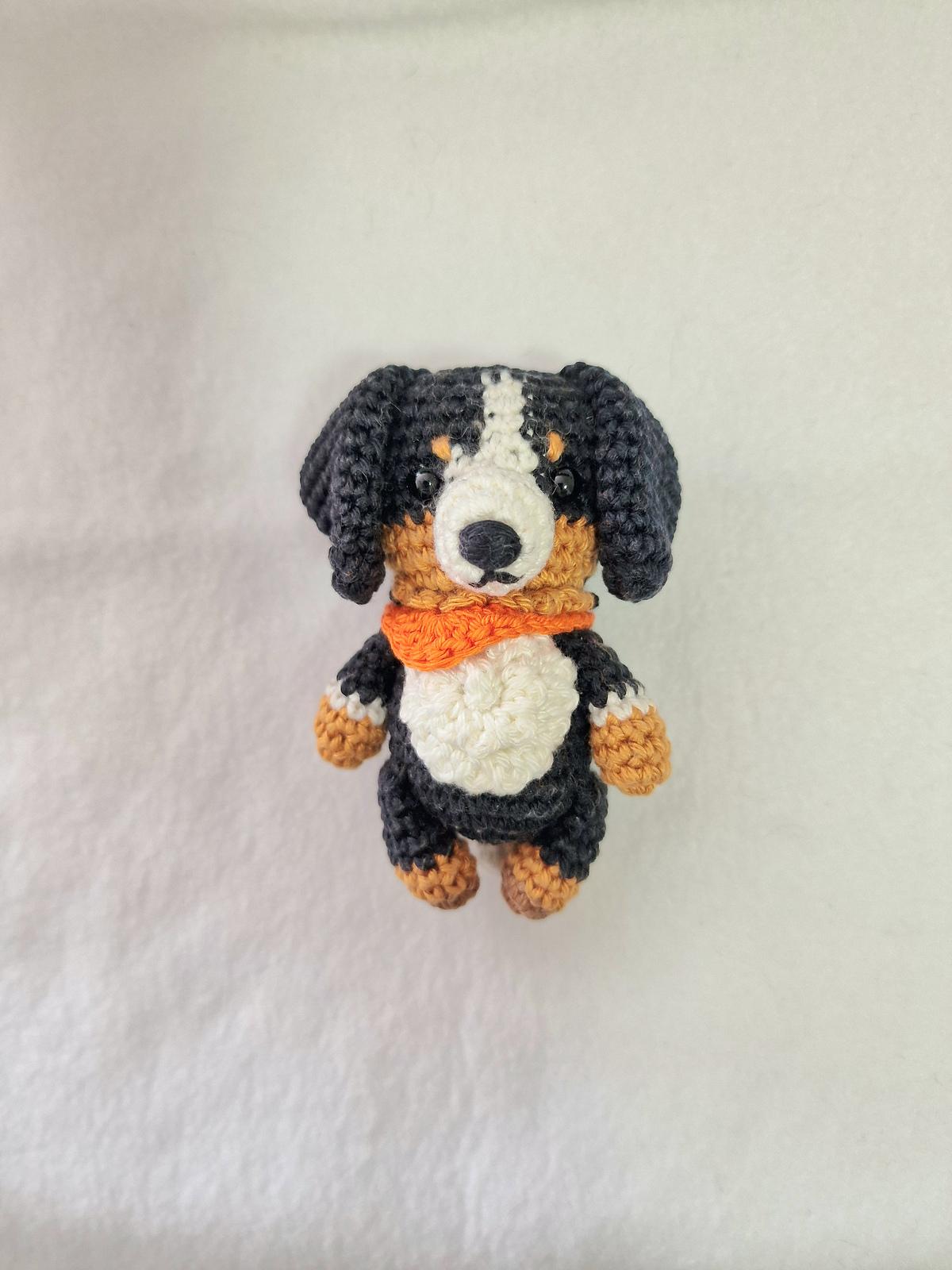 Bernese Mountain Dog