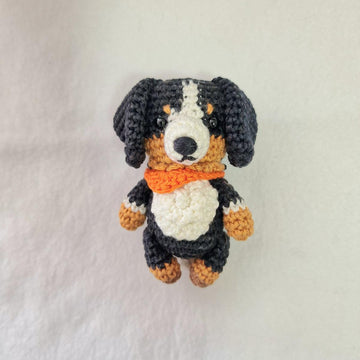 Bernese Mountain Dog