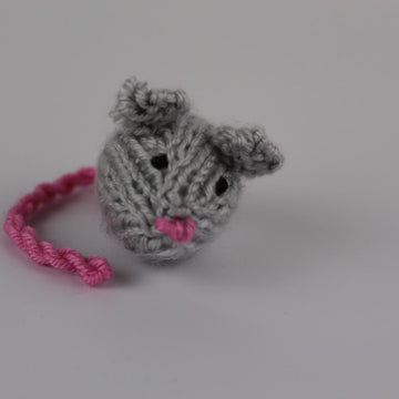 Kitten Pal