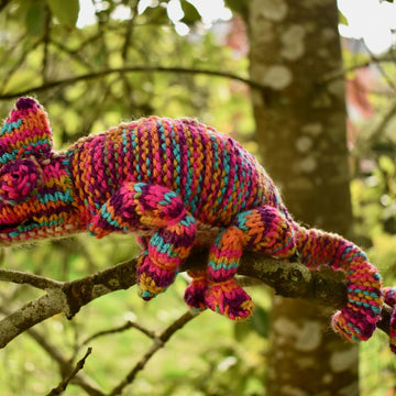 Chameleon