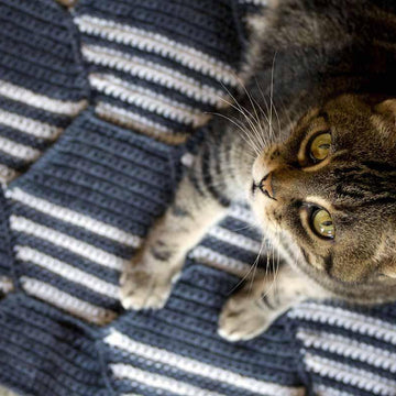 Hex Blanket
