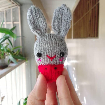 Rabbit (2023 year of the rabbit)
