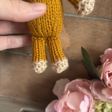 Mini Highland Cow