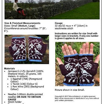 Birds of a Feather Handwarmers