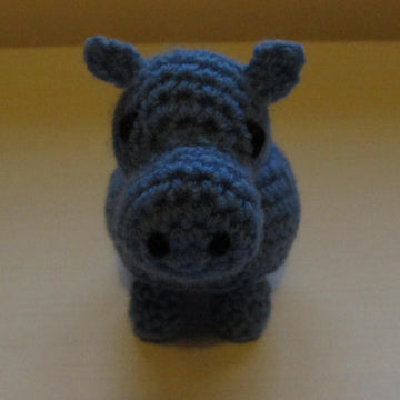 Henry the small Hippo