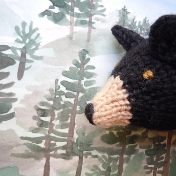 Smoky Mountain Bear