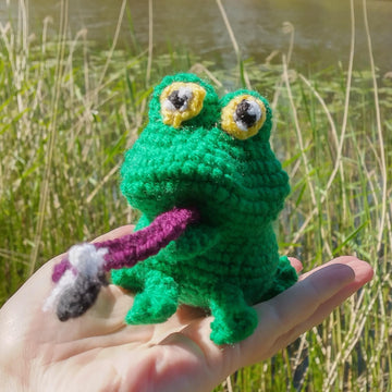 Frog with Fly from My story book Who wants Happy Hops's Toothbrush?