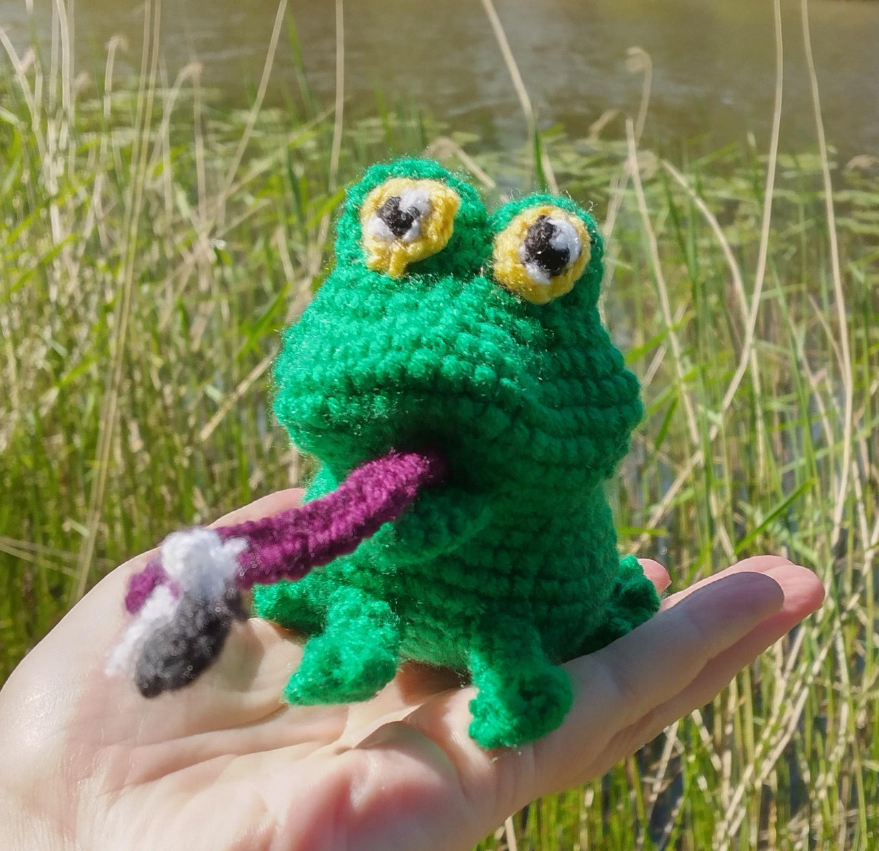 Frog with Fly from My story book Who wants Happy Hops's Toothbrush?