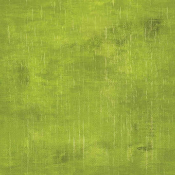 Cricut Infusible Ink Transfer Sheet 12"X12" 4/Pkg - Distressed Grassland