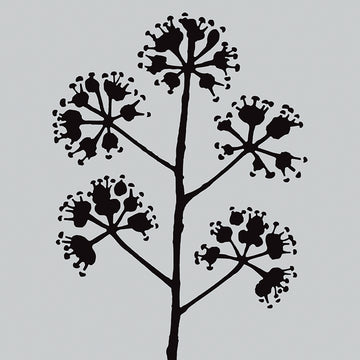 Darkroom Door Stencil 4.5"X6" - Blossom