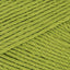 Lime Green (828)