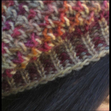 The Bolete Beret