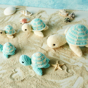 Sea Turtles