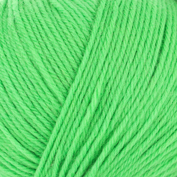 Shamrock Smoothie (712)