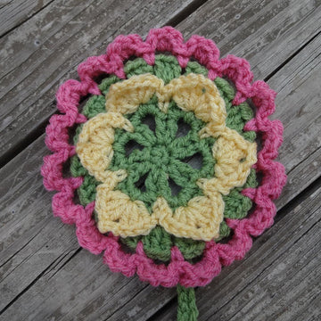 Flower in a Pot