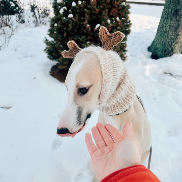 Doggo no 7 snood