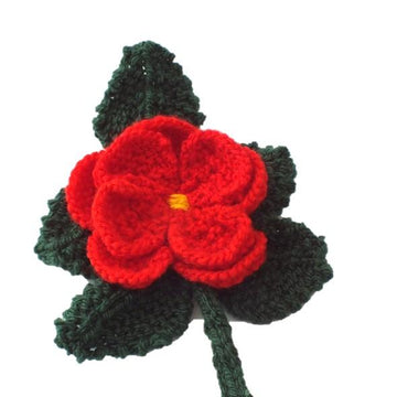Burst of Dahlias
