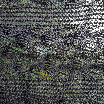 Arbors and Vines