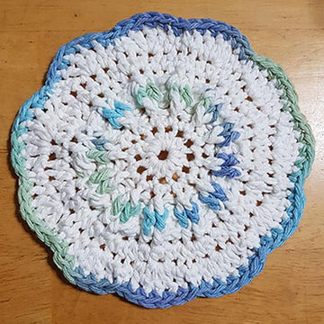 Dish Cloth 1
