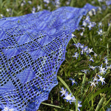 Vinca Minor