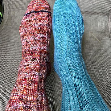 Vissenstaart Socks