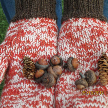 Pumpkin Spice Mittens
