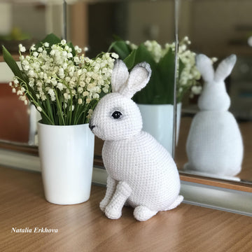 Two rabbits