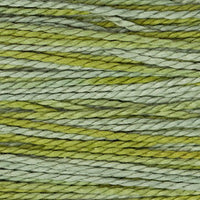 Thyme (1256)