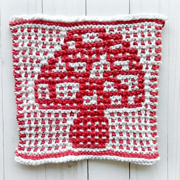 A Fungi Dishcloth
