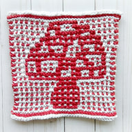 A Fungi Dishcloth