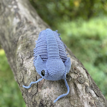 Trilobite