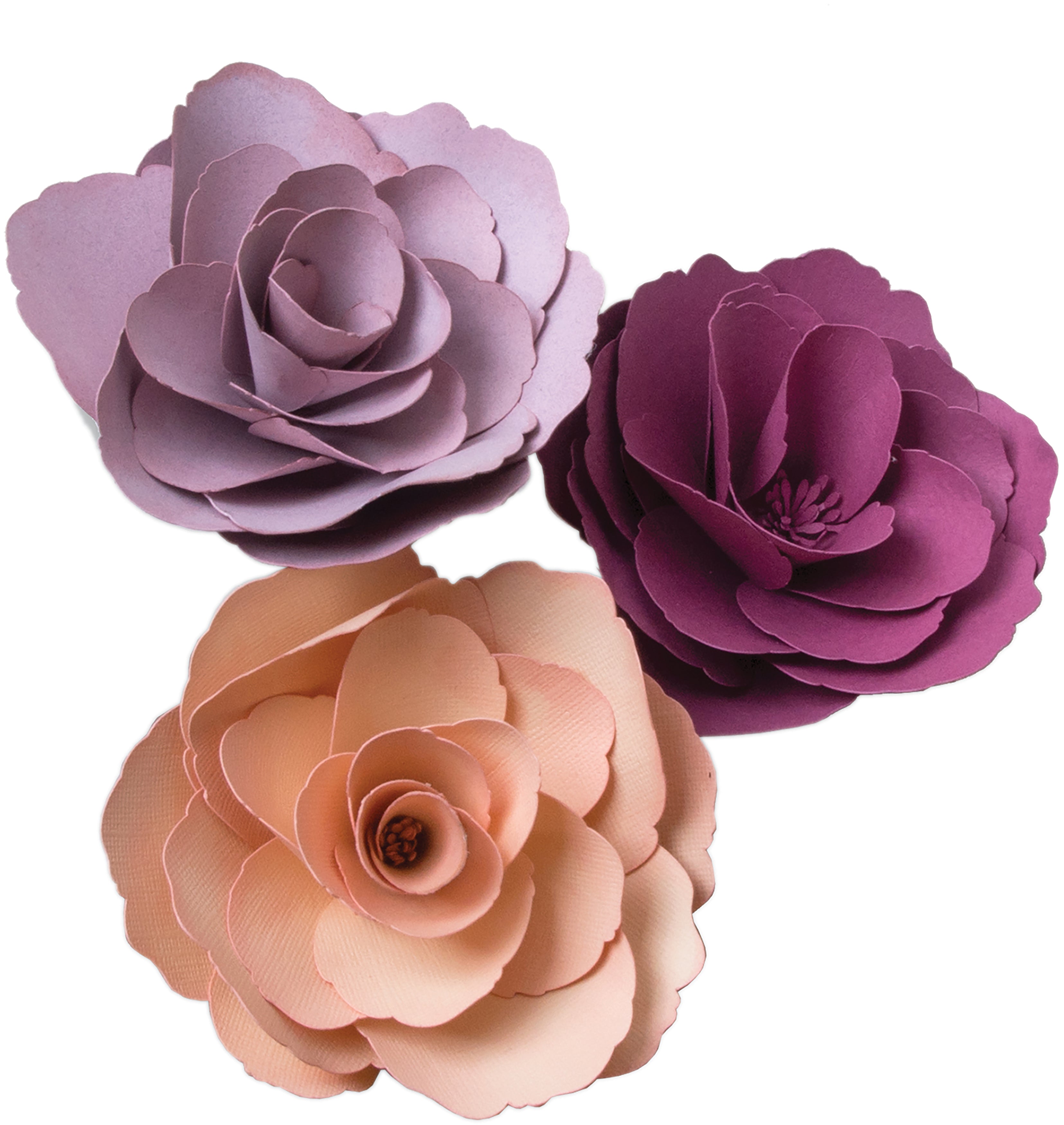 Sizzix Framelits Dies By David Tutera - Rose