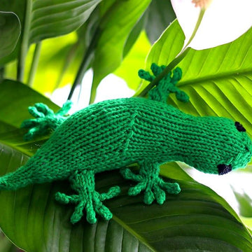Grab a Gecko!